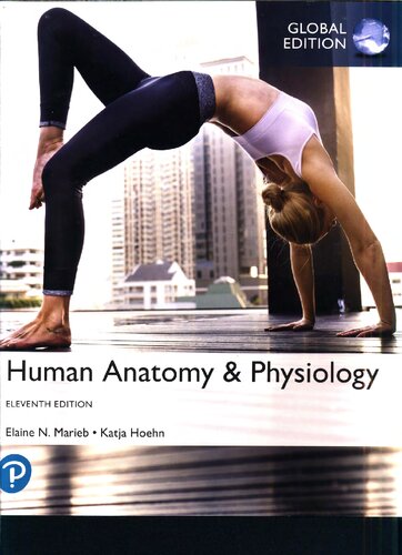 Ebook – Human Anatomy Physiology, Global Edition (PDF Instant Download ...