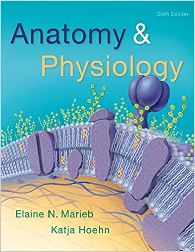 Anatomy & Physiology 6th Edition by Elaine N. Marieb