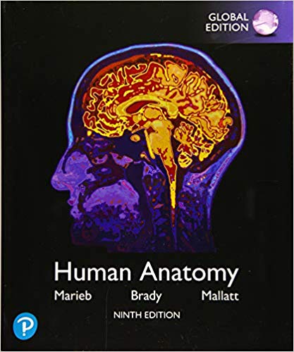 Human Anatomy, Global Edition 9th Edition