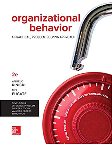 Organizational Behavior: A Practical, Problem-Solving Approach 2nd Edition